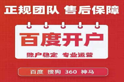 实战经验：SEM网络推广打造行业领军品牌